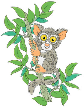cute tarsier climbing tree branch clip art preview