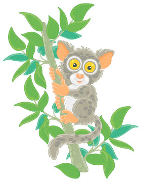 cute tarsier climbing tree branch clip art preview