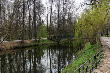 Fototapeta premium Picturesque view of pond with bridge and reflections in water in green spring park, peaseful calming place, ideal for walking