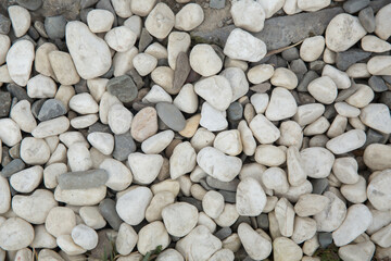 Decoration material for garden . White pebble on the small garden ground inside the house . Sea stones. For cackground an Textures . White and gray pebble on the small garden ground.