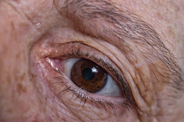 Woman brown eye, close up