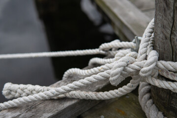 Many ropes tied to a wooden bridge in the harbor.