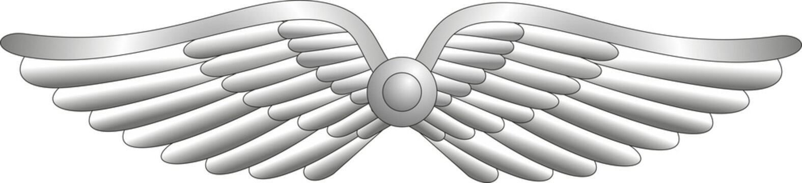 Silver metal wings, air Force insignia on a white background. Vector image.