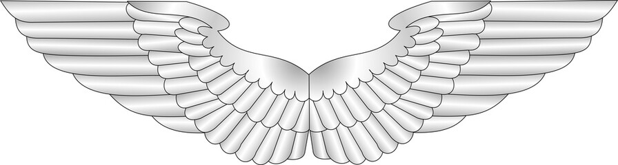 Silver metal wings on a white background. Vector image.