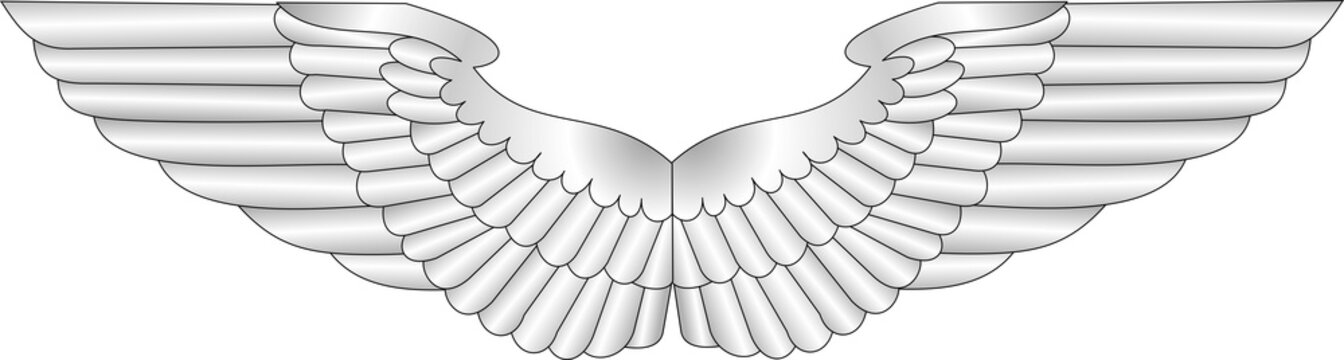 Silver metal wings on a white background. Vector image.