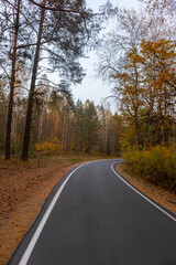 Fototapeta na wymiar narrow twisted road in autumn forest