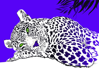 Banner with a lying pensive leopard on a colored background with tropical leaves. Creative illustration on the theme of wildlife and animals