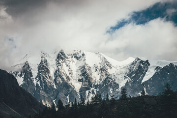 Obraz premium Forest silhouette on moraines against big glaciers on high mountains in sunlight in low clouds. Coniferous trees silhouettes on moraine on background of great snowy mountains in sunshine in cloudy sky