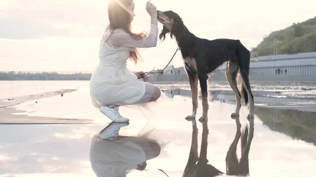 4k. Saluki dog standing with attractive young woman near river bank. 