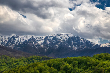 Obraz premium Colorful landscape in spring with snow-capped mountains and green forest.