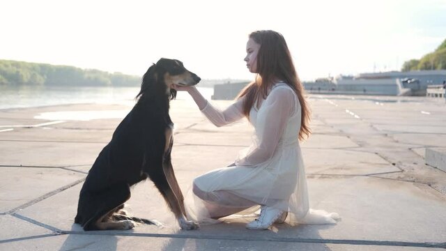 4k. Saluki dog standing with attractive young woman near river bank. 