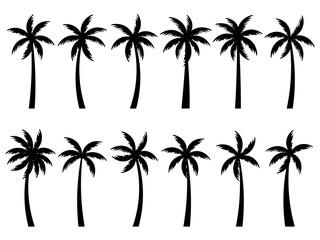 Set of black silhouettes of palm trees isolated on white background. Large collection of palm tree designs for posters and promotional items. Vector illustration