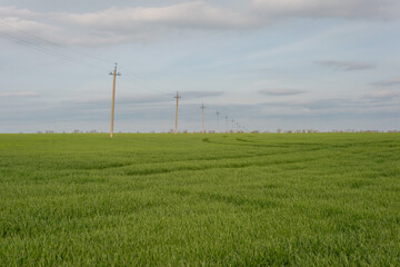 Fototapeta na wymiar high voltage pillars in green grass field rustic landscape of pillars against cloudy sky background