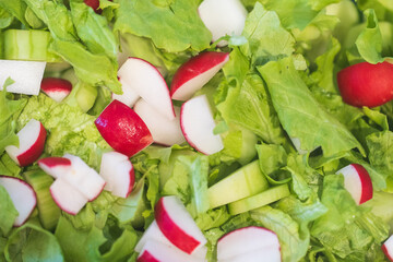 Fresh green salad with cucumbers and radishes.