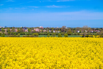 Frühling in Hannover Kronsberg.