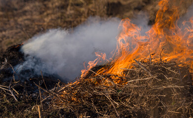 dangerous burning of old grass and foliage in the field