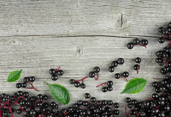 Fresh elderberry on branches with green leaves on a wooden background, top view. European black...