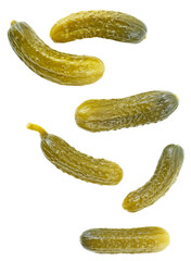 Falling delicious marinated pickled cucumbers isolated on a white background. Cornichons.