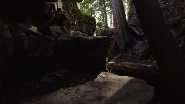 Entering a narrow limestone gully in a forest