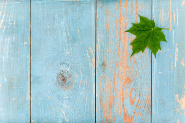 Small maple leaf on old wooden table covered with blue paint. View from above