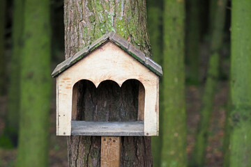 Animal feeder in coniferous forest. Animal wooden house