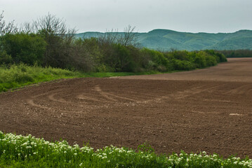 Fototapeta na wymiar Plowed and prepared for sowing field in the spring