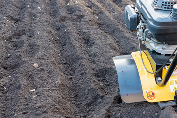 Plowing a plot of land with a gasoline motor plow.