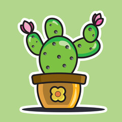 Cactus