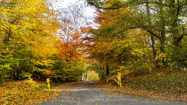 Drive Through the Fall Leaves in Pennsylvania