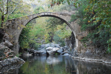 Fototapeta na wymiar bridge over the river near the forest