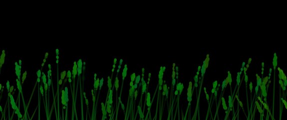 Fototapeta premium green wave