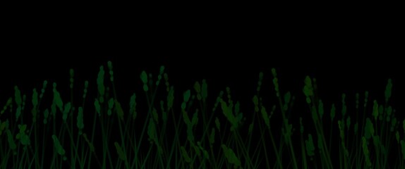 Fototapeta premium green background