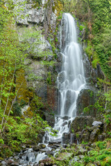 Fototapeta na wymiar Waterfall in a mountain forest in early spring.