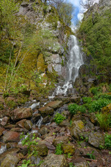 Waterfall in a mountain forest in early spring.