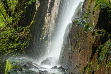 Fototapeta na wymiar Waterfall in a mountain forest in early spring.