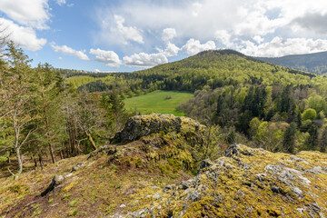 Fototapeta na wymiar Mountain landscape in spring in the Vosges.