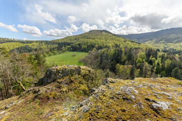 Fototapeta na wymiar Mountain landscape in spring in the Vosges.