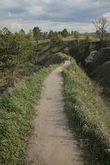 beautiful sunny wilderness landscapes, a place to walk and relax with family and friends, nature with hills and forest, space ecosystem