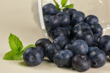 Large quantity of blueberries scattered from a plastic container on a cream colored background with green leaves
