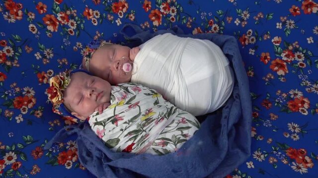 Slow Motion Tiny newborn baby twins sleeping curled up together 