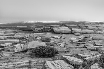 scenic coastline at Cape Elisabeth in fog