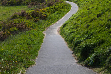 Fototapeta na wymiar Green path near Tynemouth, UK