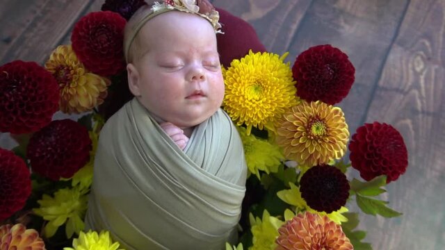 Slow Motion Newborn girl, baby sleeps in a bucket of flowers.