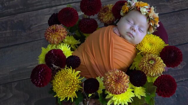 Portrait of newborn baby girl wrapped in orange fabric. Infant on furry fluffy b