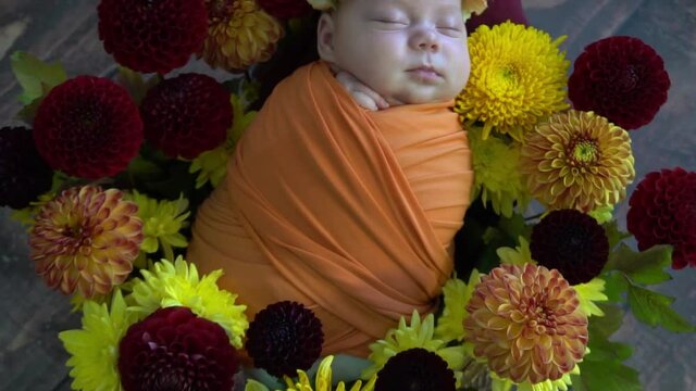 Slow Motion Cute newborn baby girl sleeping in basket decorated with flowers.