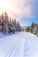 Fototapeta premium Cross country skiing track on sunny winter day. Freezy snowy landscape of Jizera Mountains, Czech Republic