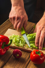 Cooking salad in the restaurant kitchen. Chef is hands close-up cut salad greens. Set of vegetables for a salad diet