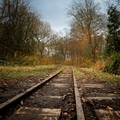 An atmospheric narrow gauge train track running through a woodland in Haigh Woodland Park, Greater Manchester
