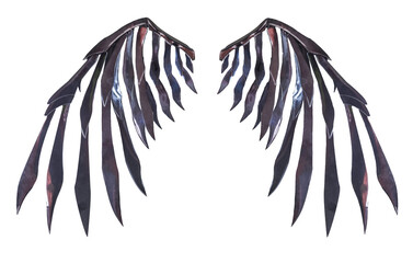 Devil wing plumage isolated with clipping path