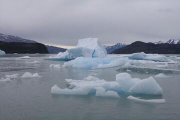 Calafate